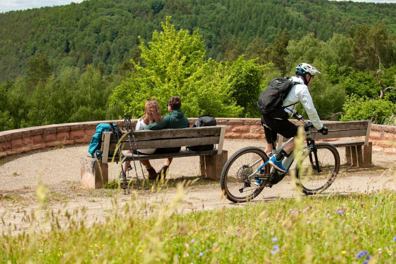 Hotel Landgasthof Oberschnorrhof Dammbach Екстериор снимка